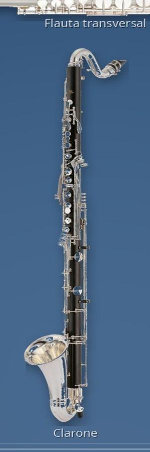 c6cl.jpg