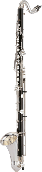 thumbBass.png