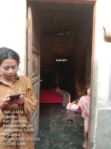 codb.jpg