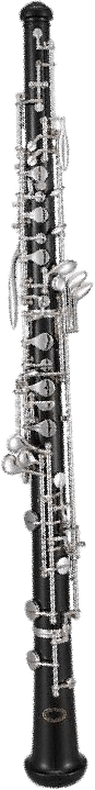 stickrot.png