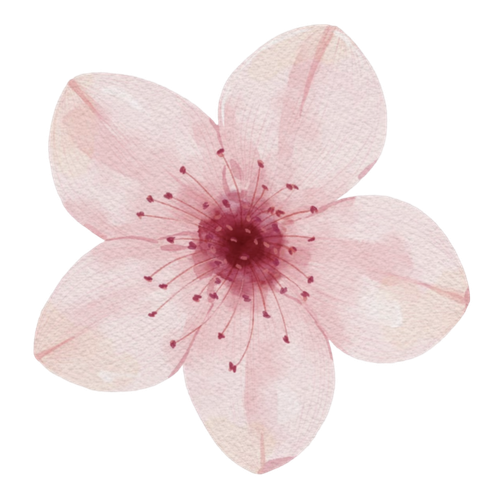 1000179013.png