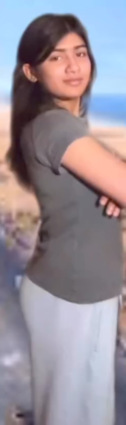 29587.png