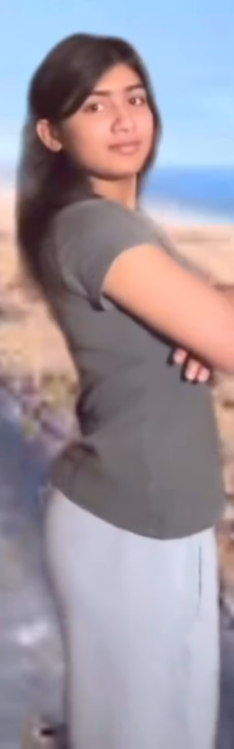 29588.png