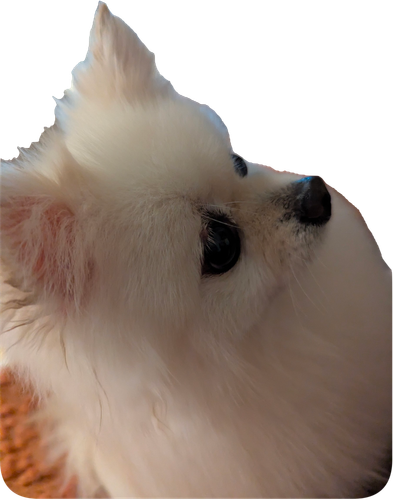 1000063421.png