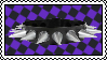 IMG 4806.png