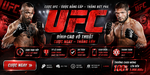 banner ufc.png