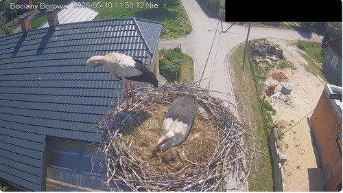 MWSnap171.jpg