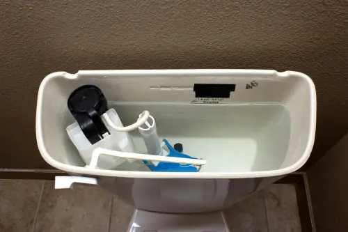 8a5c2df5a187.webp