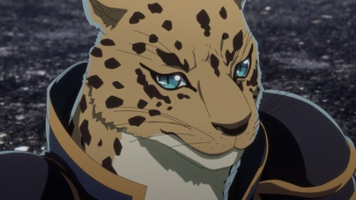 6fe9c8c42c26.jpg