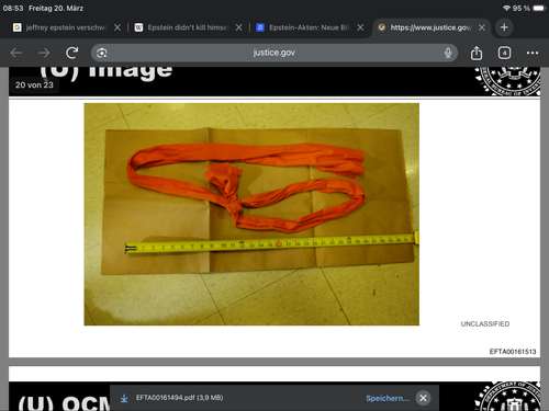 IMG 0201.png