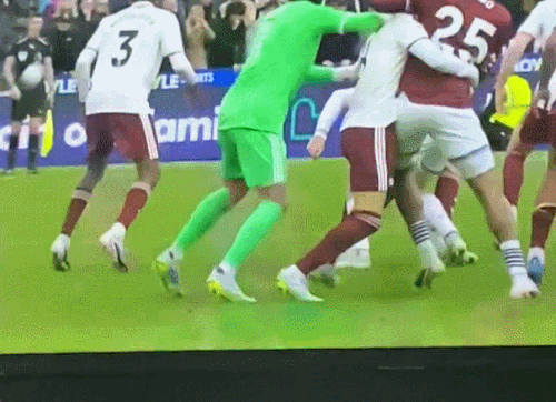 raya6.gif