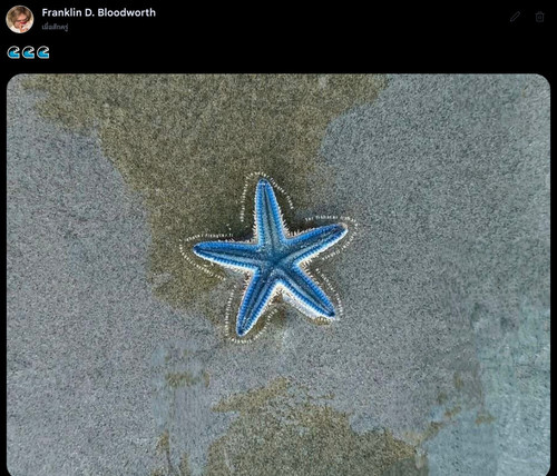 1778430691663.jpg