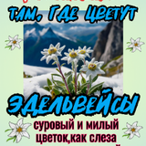 Ink 1778410612574 copy 600x1067 2 copy 270x480.png