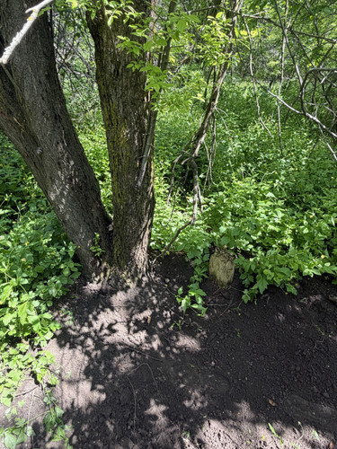 IMG 3450.jpg