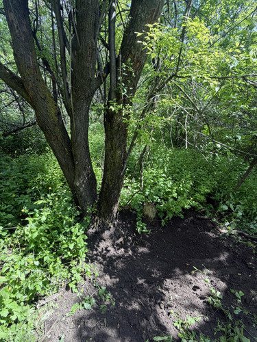 IMG 3449.jpg
