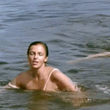anigif.gif