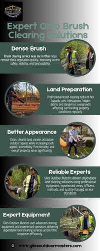 Expert Ohio Brush Clearing Solutions.jpg