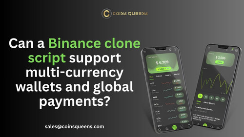 Can a Binance clone script support multi currency wallets and global payments.jpg