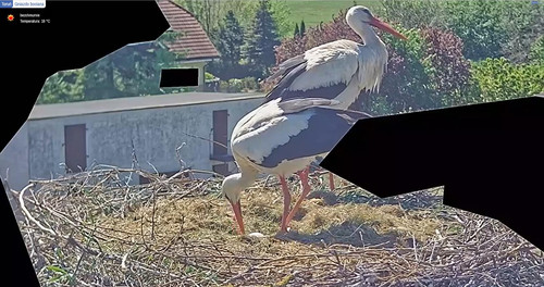 MWSnap919.jpg