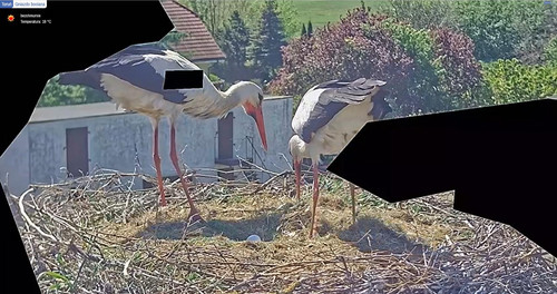 MWSnap917.jpg