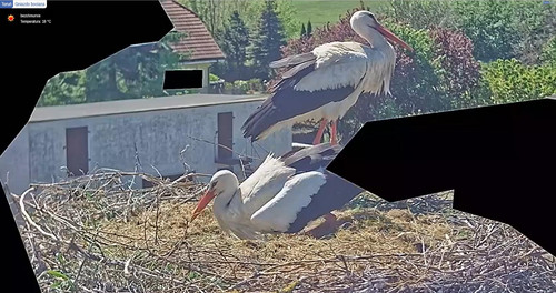 MWSnap920.jpg