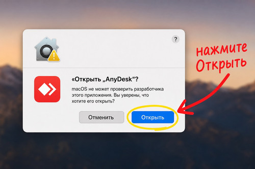 03 open.jpg