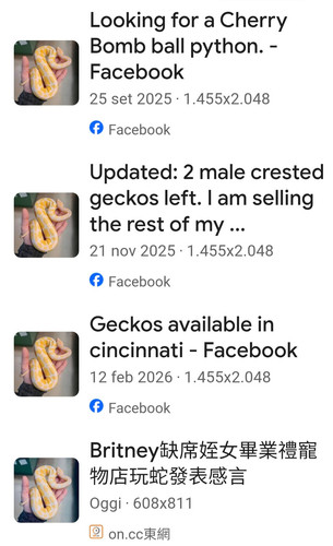 Screenshot 20260510 073711 Google.jpg
