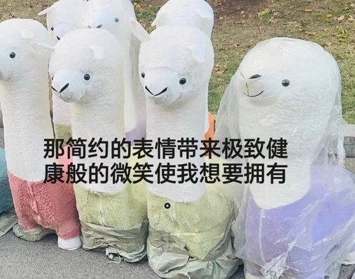 1000040476.jpg