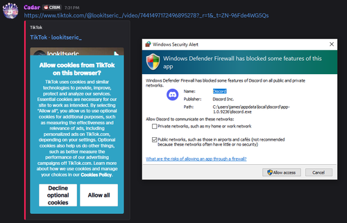 Discord 4mhdBuJASI.png