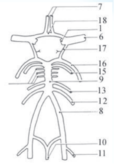 51fd000b15a9.png
