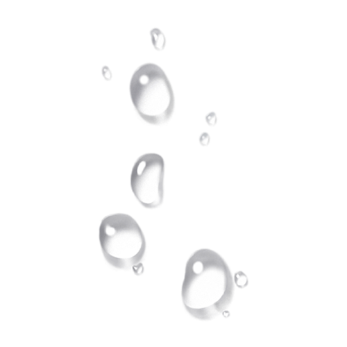 IMG 9753.png