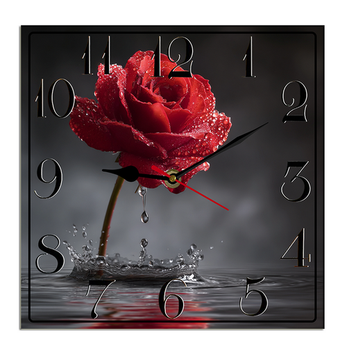 suggestion082212 04865 1 a vibrant red rose with numerous water 9a78448b 9f41 4925 9c50 908c33fda057.png