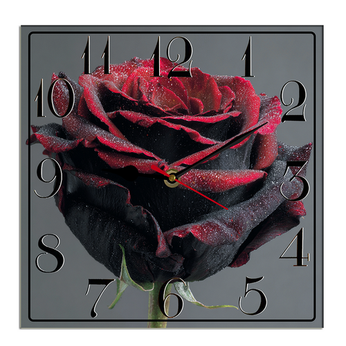 suggestion082212 04865 3 a detailed view of a black rose with p 9b3c6e5a abf0 4400 942c c798d7ee180e.png