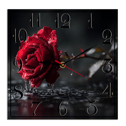 suggestion082212 04865 3 a vivid red rose is the central focus b3caa8b9 a78e 4121 a91b 0181906d80a5.png