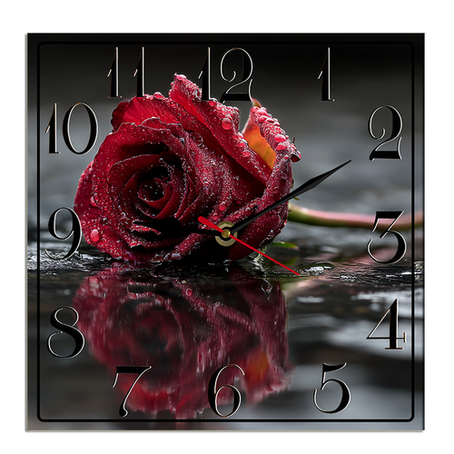 suggestion082212 04865 3 a solitary red rose detailed with glis 31744aa8 959a 44f5 8c9d 5e0b84c9d80d.png