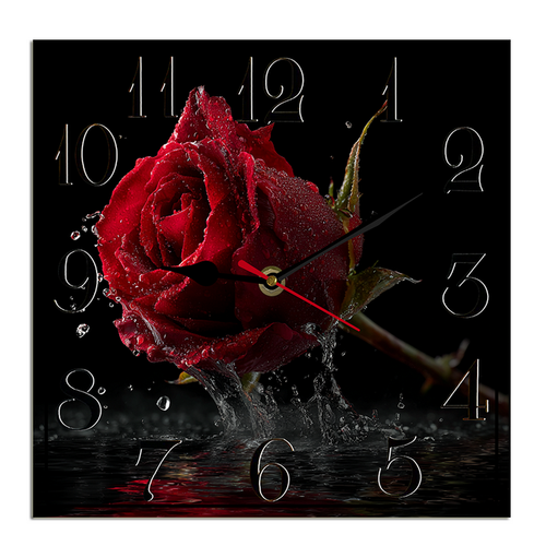 suggestion082212 04865 3 a vivid red rose is the central focus d9c3811d 0f90 4930 87ff f3fa0a4ca996.png