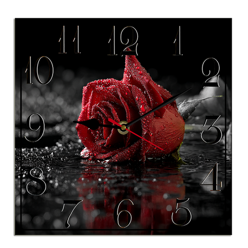 suggestion082212 04865 2 a close up studio style photograph of 626de154 54d3 4001 9da4 8e0a9bb15d4e.png