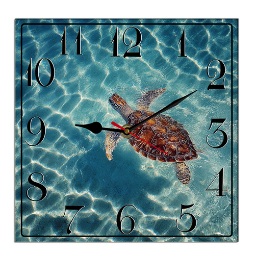 suggestion082212 04865 2 a sea turtle swims in crystal clear li 121ca518 c447 4242 b774 718e725e5dbe.png