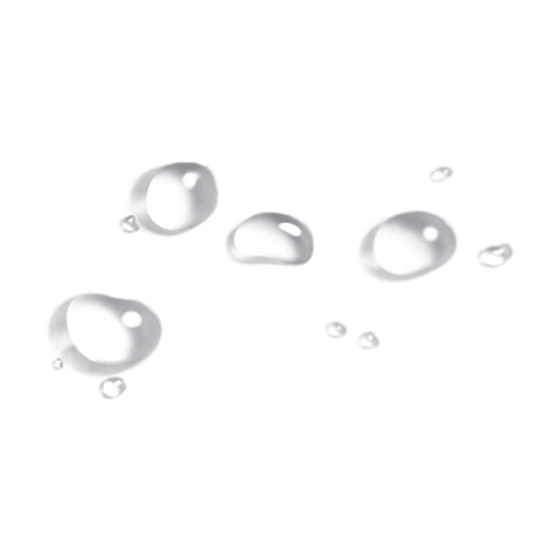 IMG 9753(1).png