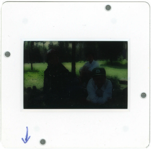 photo 042.png