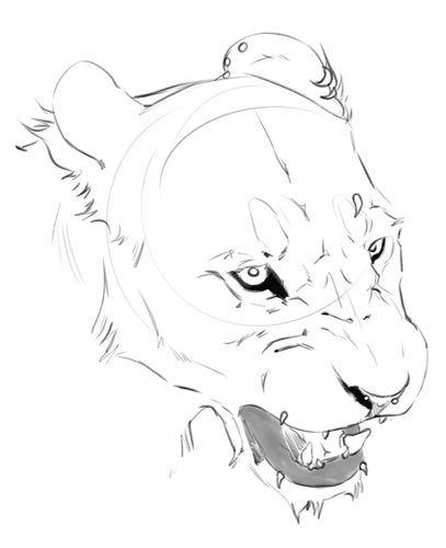 IMG 0791.png