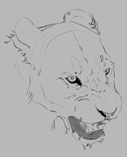 IMG 0792.png