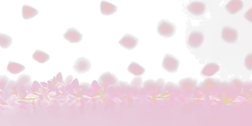 a9f57cf73463.png