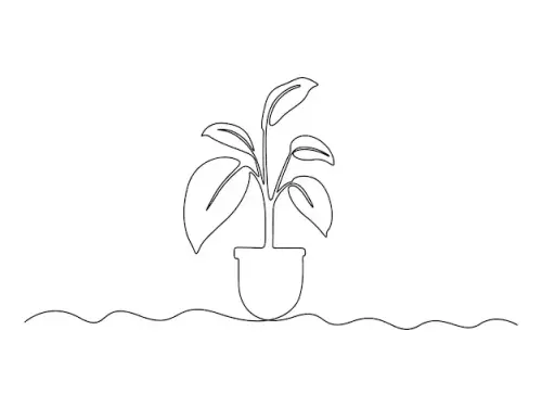 art16.webp