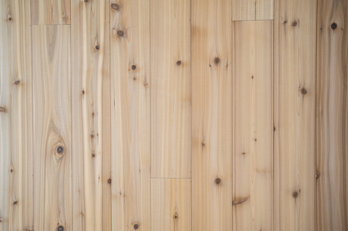 gambier island residence bc cedar plank wall detail texture.jpg