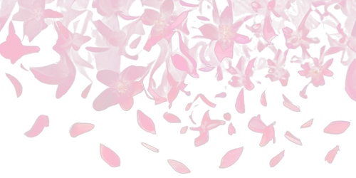dd7d6608a266.png