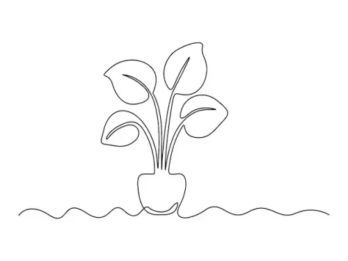 art17.webp