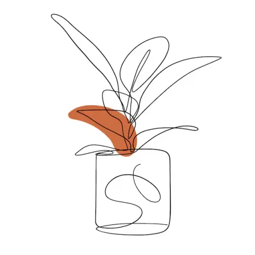 art13.webp