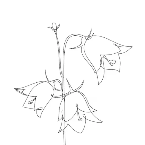 art21.webp