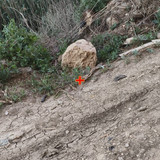 IMG 20260510 164846 16.jpg